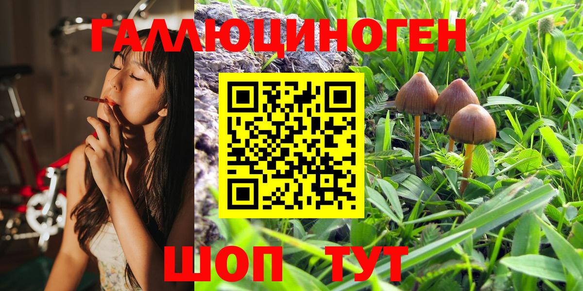 Галлюциногенные грибы ЛСД  Псилоцибиновые грибы MAGIC MUSHROOMS  Вход с VPN  Новый Уренгой 