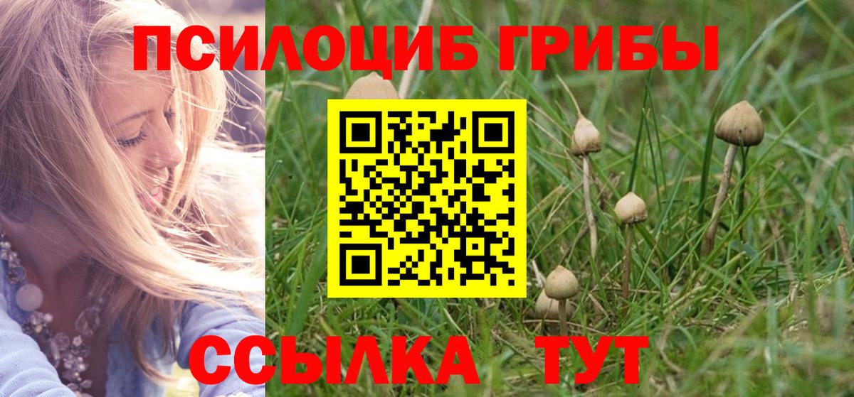 Галлюциногенные грибы прущие грибы Новый Уренгой